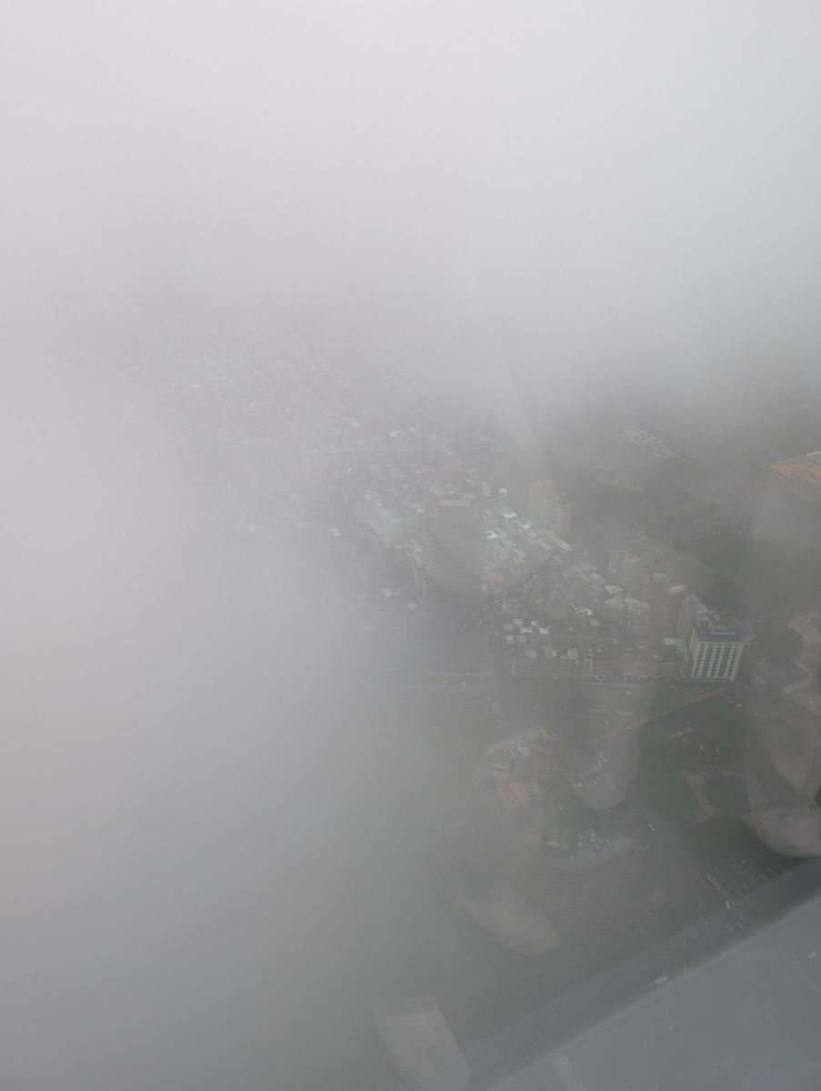 Then the cloud swallowed the view