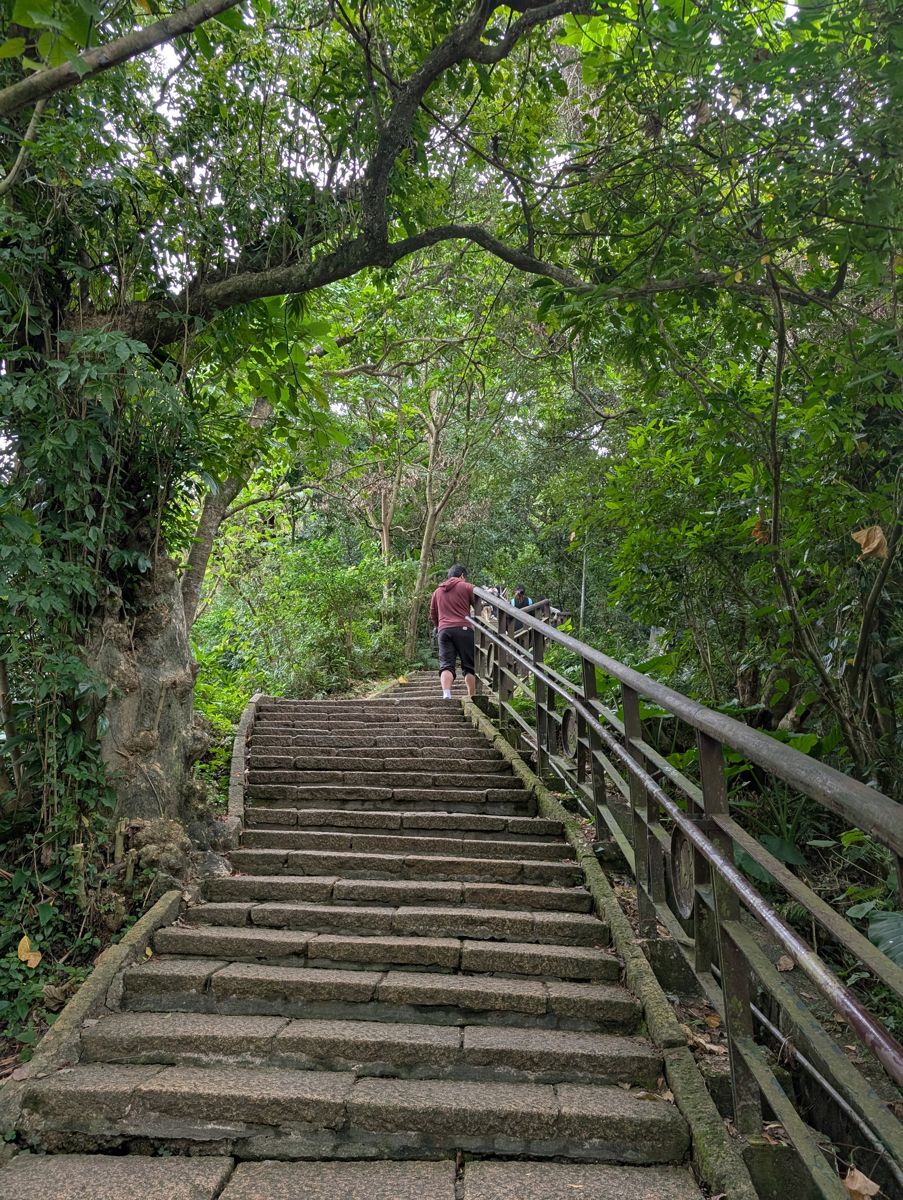 The stairs start right away