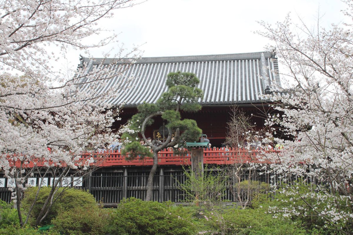 A temple hall among the blossoms