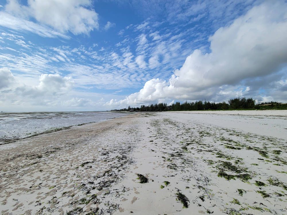 The beach at low tide