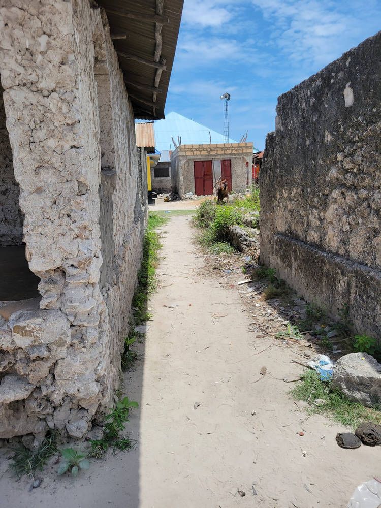 A narrow lane between walls